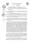 Vista preliminar de documento R.E.R. Nro 176-2023-GR-GR PUNO