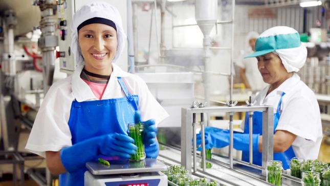 Imagen referencial "Produce autoriza transferencia de S/ 150 millones para el fondo MYPIME Emprendedor"