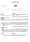 Vista preliminar de documento Resolución Directoral. Nº 1157 