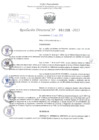 Vista preliminar de documento Resolución Directoral. Nº 1159 