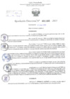 Vista preliminar de documento Resolución Directoral. Nº 1162 