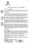 Vista preliminar de documento RESOLUCION DE ALCALDIA N° 90-MDSA/2009