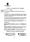 Vista preliminar de documento Decreto de Alcaldía N.° 00005-2009-MDSA