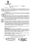 Vista preliminar de documento RESOLUCION DE ALCALDIA N° 175-MDSA/2009
