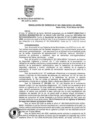Vista preliminar de documento RESOLUCION DE GERENCIA N° 041-2009-GODU-GG-MDSA