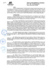 Vista preliminar de documento RGR.GRI N° 079