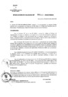 Vista preliminar de documento RESOLUCION DE ALCALDIA Nro° 431-2010/MDSA