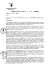 Vista preliminar de documento RESOLUCION DE ALCALDIA Nro° 288-2010/MDSA