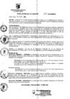 Vista preliminar de documento RESOLUCION DE ALCALDIA Nro° 398-2010/MDSA