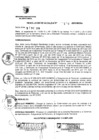 Vista preliminar de documento RESOLUCION DE ALCALDIA Nro° 409-2010/MDSA