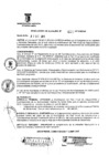 Vista preliminar de documento RESOLUCION DE ALCALDIA Nro° 411-2010/MDSA