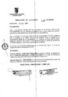 Vista preliminar de documento RESOLUCION DE ALCALDIA Nro° 435-2010/MDSA
