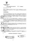 Vista preliminar de documento RESOLUCION DE ALCALDIA Nro° 317-2010/MDSA