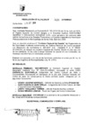 Vista preliminar de documento RESOLUCION DE ALCALDIA Nro° 316-2010/MDSA