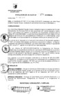 Vista preliminar de documento RESOLUCION DE ALCALDIA Nro° 271-2010/MDSA