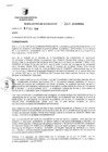 Vista preliminar de documento RESOLUCION DE ALCALDIA Nro° 248-2010/MDSA