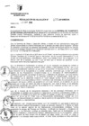 Vista preliminar de documento RESOLUCION DE ALCALDIA Nro° 276-2010/MDSA