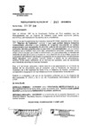 Vista preliminar de documento RESOLUCION DE ALCALDIA Nro° 243-2010/MDSA