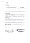 Vista preliminar de documento RESOLUCION DE ALCALDIA Nro° 027-2010/MDSA