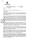 Vista preliminar de documento RESOLUCION DE ALCALDIA Nro° 207-2010/MDSA