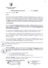 Vista preliminar de documento RESOLUCION DE ALCALDIA Nro° 196-2010/MDSA