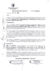 Vista preliminar de documento RESOLUCION DE ALCALDIA Nro° 195-2010/MDSA