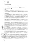Vista preliminar de documento RESOLUCION DE ALCALDIA Nro° 215-2010/MDSA