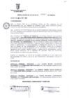 Vista preliminar de documento RESOLUCION DE ALCALDIA Nro° 167-2010/MDSA