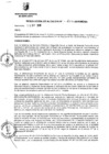 Vista preliminar de documento RESOLUCION DE ALCALDIA Nro° 214-2010/MDSA