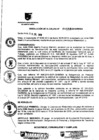 Vista preliminar de documento RESOLUCION DE ALCALDIA Nro° 156-2010/MDSA