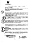 Vista preliminar de documento RESOLUCION DE ALCALDIA Nro° 157-2010/MDSA