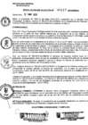 Vista preliminar de documento RESOLUCION DE ALCALDIA Nro° 117-2010/MDSA