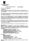 Vista preliminar de documento RESOLUCION DE ALCALDIA Nro° 119-2010/MDSA