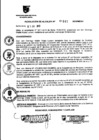 Vista preliminar de documento RESOLUCION DE ALCALDIA Nro° 141-2010/MDSA
