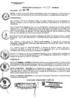 Vista preliminar de documento RESOLUCION DE ALCALDIA Nro° 067-2010/MDSA
