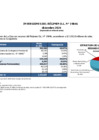 Vista preliminar de documento 2024 12 Estructura de Inversiones en Instrumentos Financieros - Diciembre