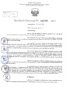 Vista preliminar de documento Resolución Directoral. Nº 1201 - 2023 