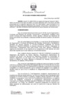 Vista preliminar de documento RD N° 015-2023-DGPRCS