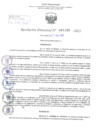 Vista preliminar de documento Resolución Directoral. Nº 1195 