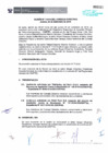 Vista preliminar de documento Acta N° 714