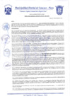 Vista preliminar de documento Resolución Gerencial N° 0249-2020