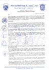 Vista preliminar de documento Resolución Gerencial N° 0240-2020