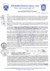 Vista preliminar de documento Resolución Gerencial N° 0236-2020