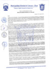 Vista preliminar de documento Resolución Gerencial N° 0243-2020