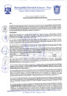 Vista preliminar de documento Resolución Gerencial N° 0234-2020