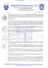 Vista preliminar de documento Resolución Gerencial N° 0242-2020