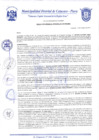 Vista preliminar de documento Resolución Gerencial N° 0238-2020