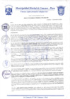 Vista preliminar de documento Resolución Gerencial N° 0262-2020