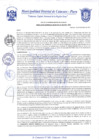 Vista preliminar de documento Resolución Gerencial N° 0264-2020
