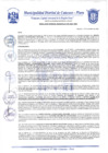 Vista preliminar de documento Resolución Gerencial N° 0276-2020